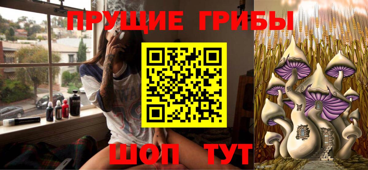Псилоцибиновые грибы прущие грибы  Вход с VPN  Кисловодск  Псилоцибиновые грибы мухоморы 