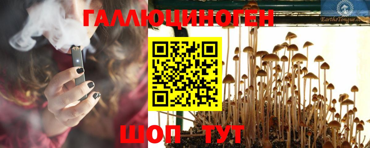 Галлюциногенные грибы мицелий Кисловодск