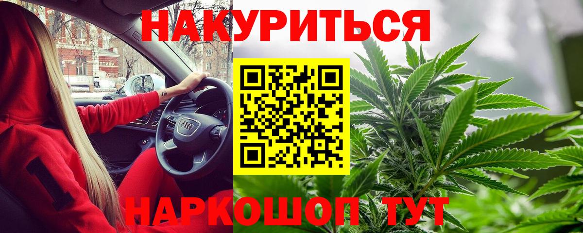 Бошки марихуана план Кисловодск